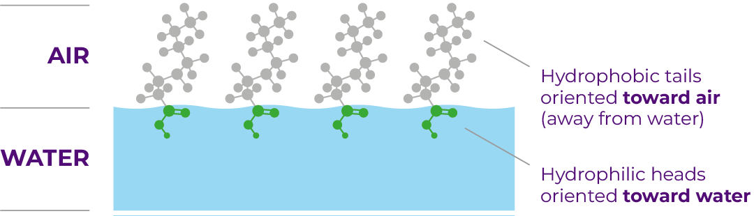 ovivo-pfas-removal-foam-fractionation-hydrophobic-hydrophilic-1080px