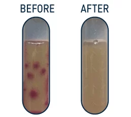 before-after-1